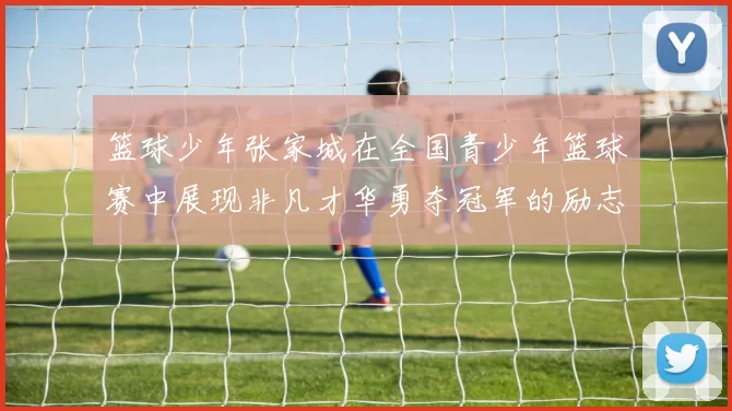 篮球少年张家城在全国青少年篮球赛中展现非凡才华勇夺冠军的励志故事