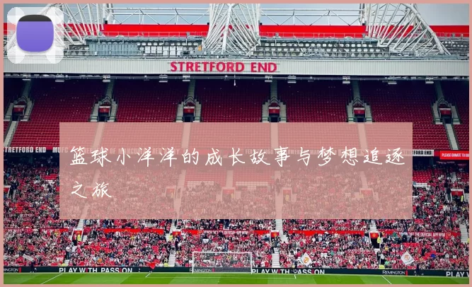篮球小洋洋的成长故事与梦想追逐之旅
