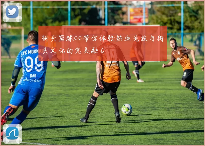 街头篮球cc带你体验热血竞技与街头文化的完美融合