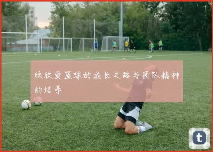 欣欣爱篮球的成长之路与团队精神的培养