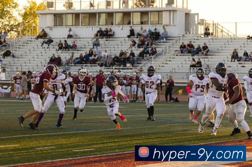 九游体育APP平台生态图